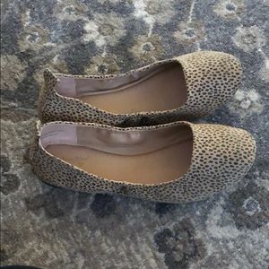 Leopard Flats